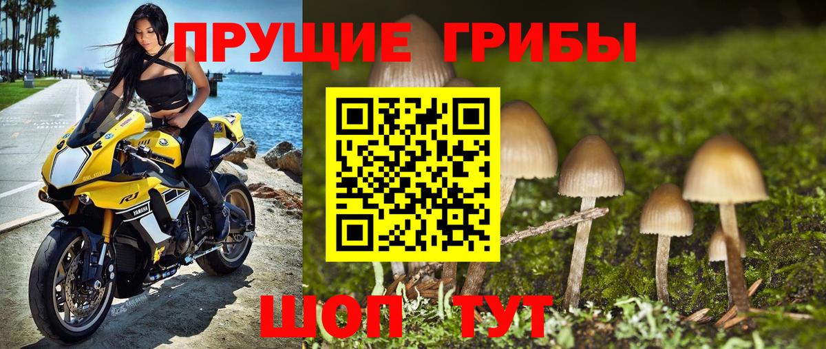 Псилоцибиновые грибы ЛСД Междуреченск